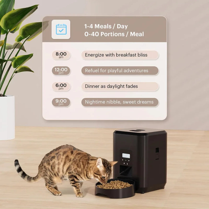 Distributeur intelligent de croquettes